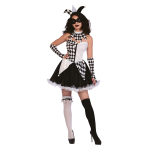 Adult Costume Jester Lady Size XL
