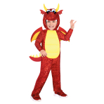 Child Costume Dragon Age 4-6 Years