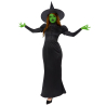 Adult Costume Wicked Witch Size XXL