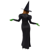 Adult Costume Wicked Witch Size XXL