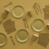 Spoons Plastic Creme Brulee 24 Pieces