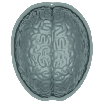 Pudding Mould Brain-Shaped Plastic Pudding Mould Brain-Shaped Plastic