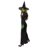 Adult Costume Wicked Witch Size XXL
