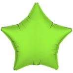 Standard Neon Green Star Foil Balloon C17 Packaged 43 cm