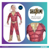 Child Costume Shazam 8-10 yrs