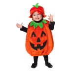 Baby Costume Pumpkin Patch Cutie Age 12 - 24 Months