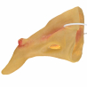 Costume Accessory Crooked Witch Nose with Wart One Size