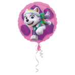 Standard Paw Patrol Skye & Everest Foil Balloon S60 Packaged 43 cm