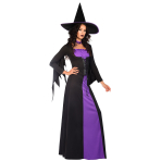 Adult Costume Classic Witch Size L