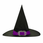Witch Hat Purple Band One size