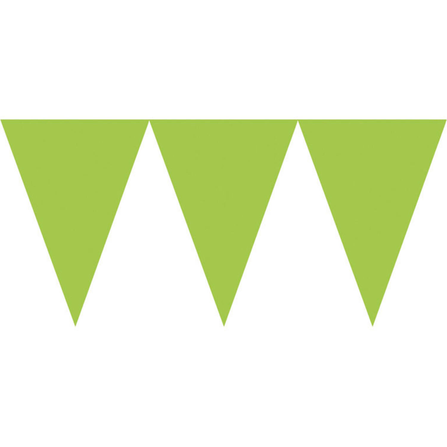 Pennant Banner Kiwi Green Paper 457 x 17.7 cm