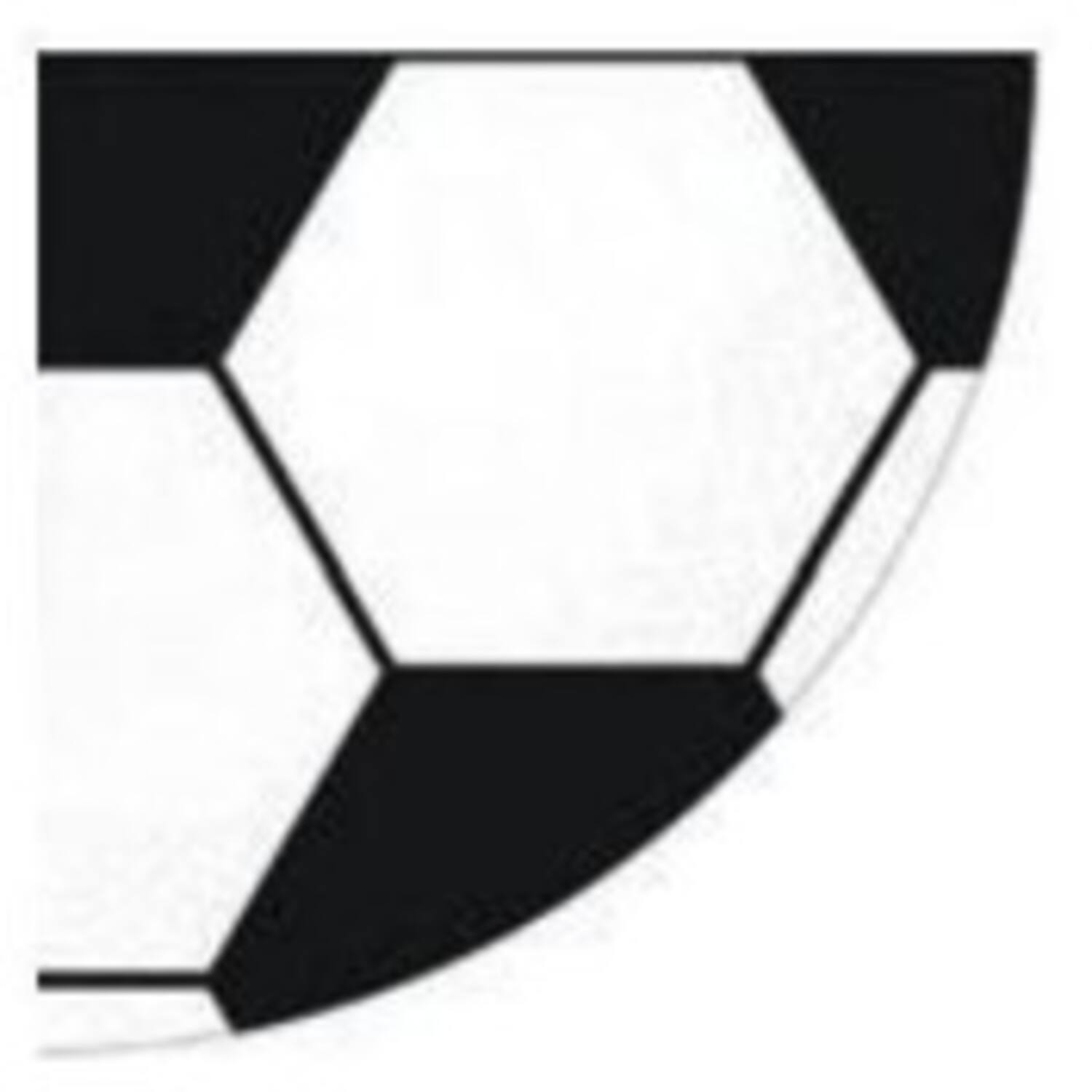 12 Soccer Napkins All Over Germany Paper Round 32 cm x 32 cm