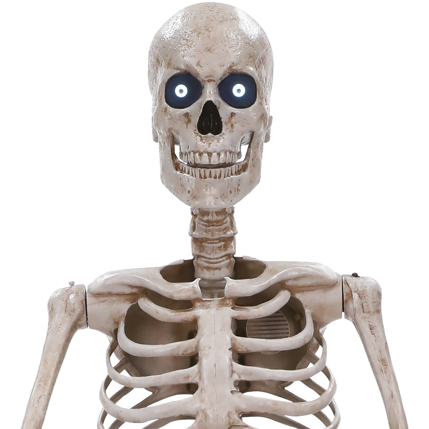 Animatronic XXL Standing Towering Skeleton 243 cm