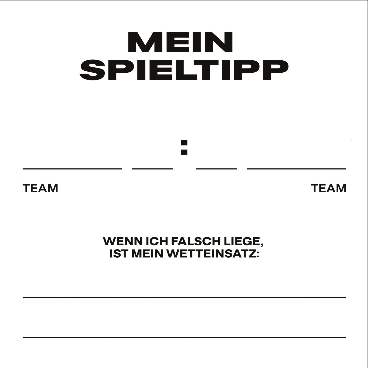 12 Flip Napkins BVB Dortmund Double-Sided Print 33 x 33 cm