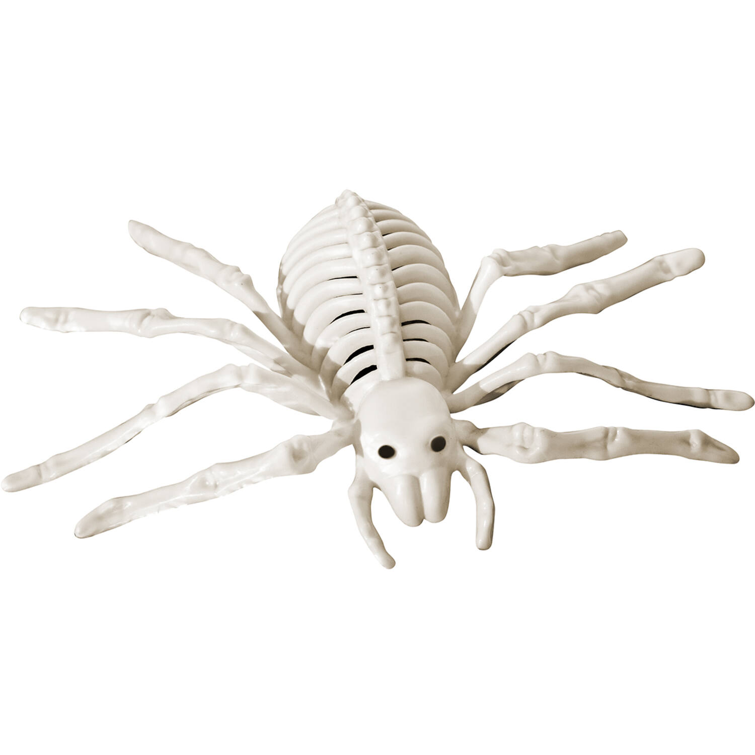 Skeleton Spider Plastic