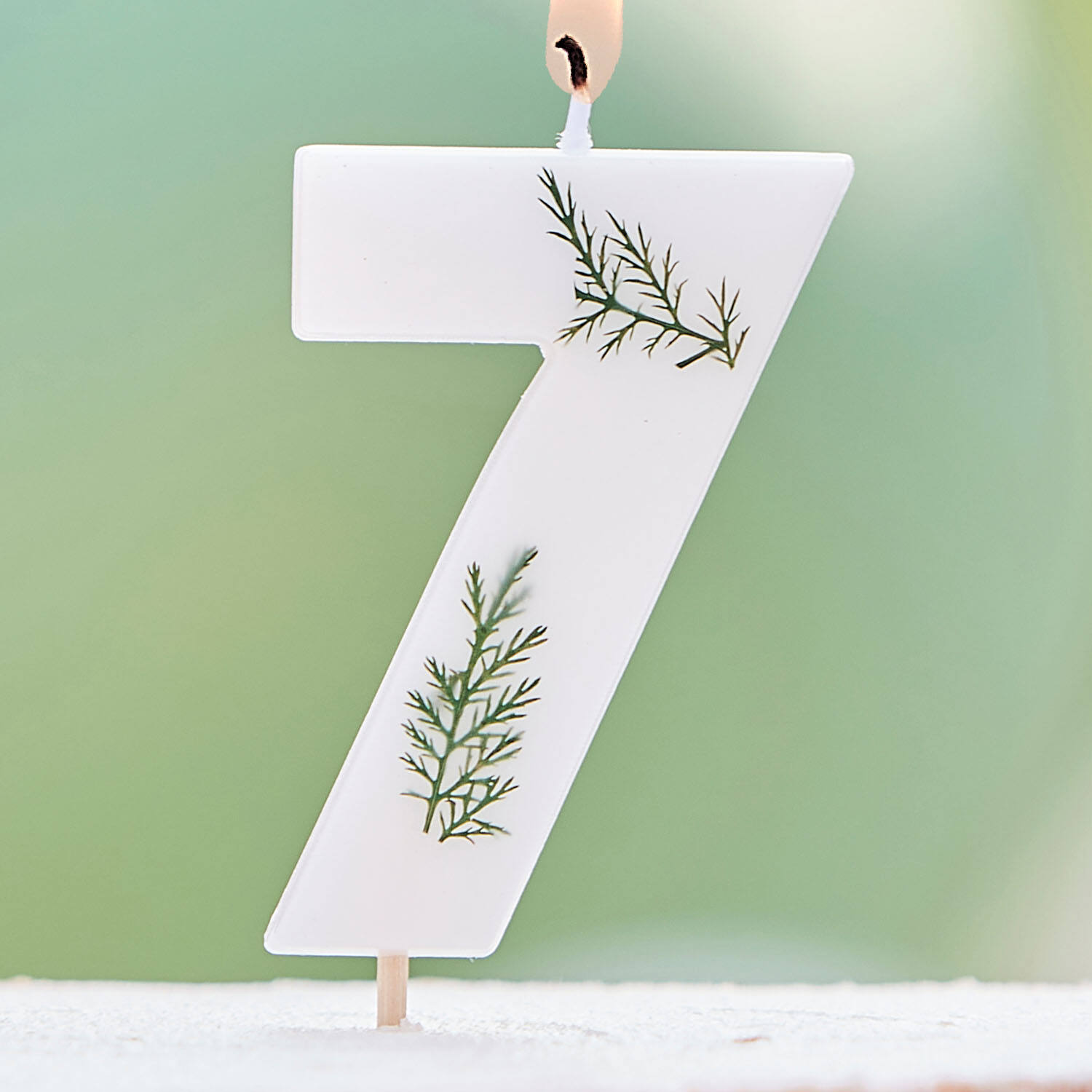 Candle - Number 7 - Pressed Foliage