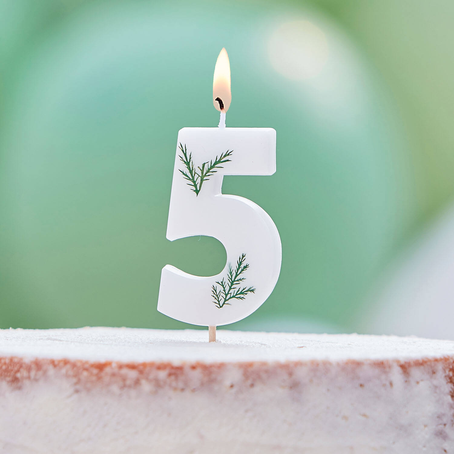 Candle - Number 5 - Pressed Foliage