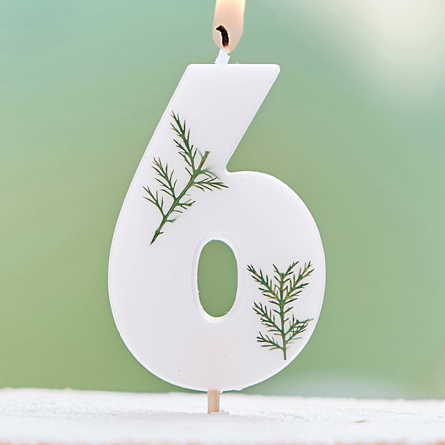 Candle - Number 6 - Pressed Foliage