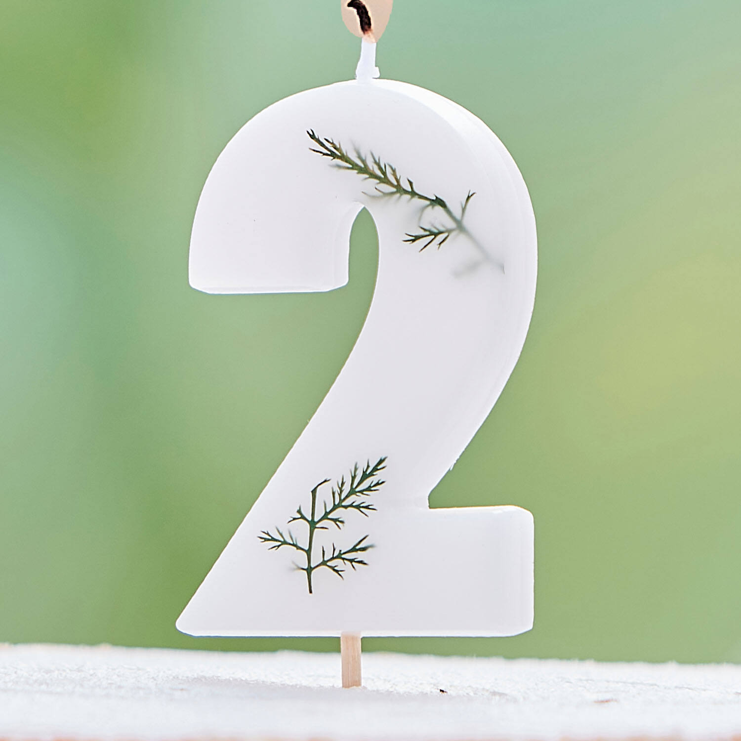 Candle - Number 2 - Pressed Foliage