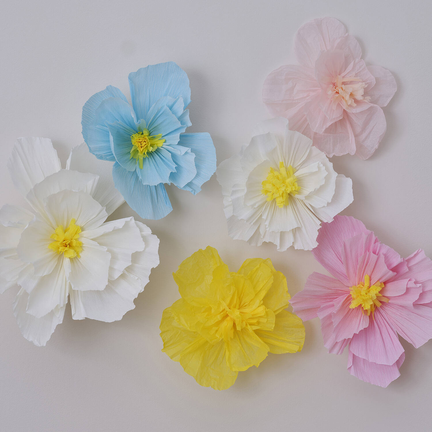 Backdrop - Tissue Paper Flowers