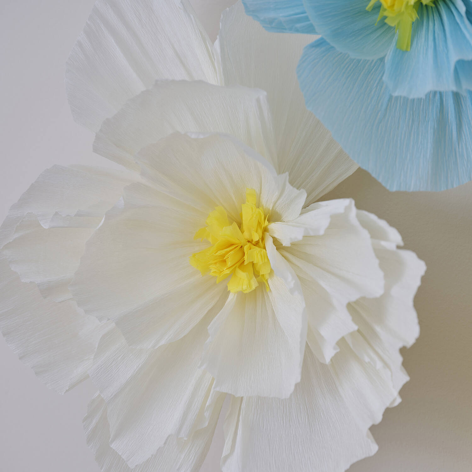 Backdrop - Tissue Paper Flowers