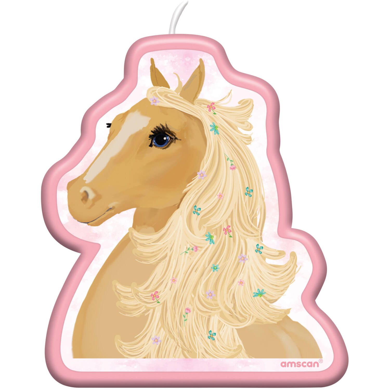 Character Candle Beautiful    Horses