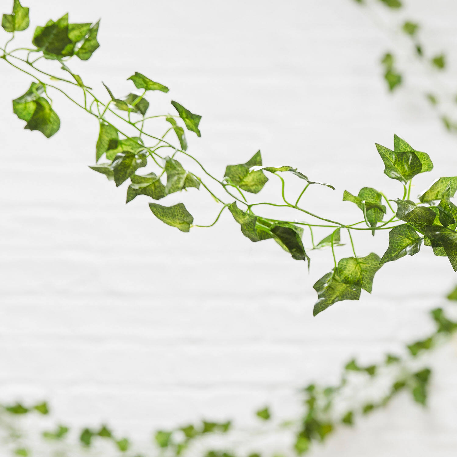 Foliage Vines
