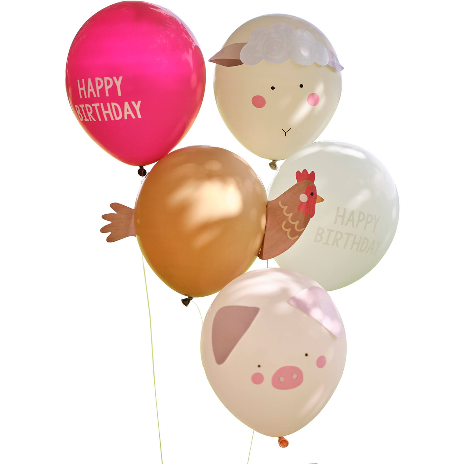 Balloon Bundle - 5pk Balloons with Card Animal Faces and Print