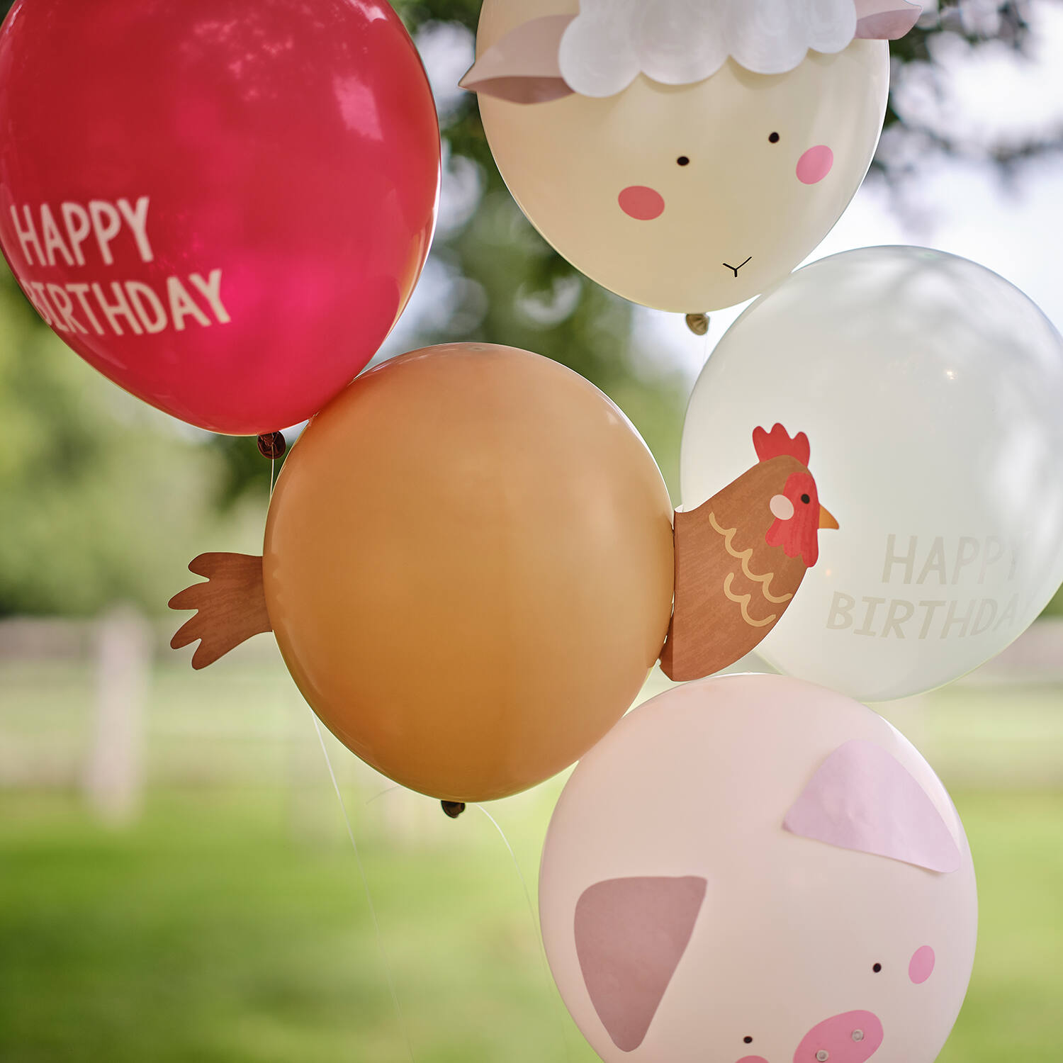Balloon Bundle - 5pk Balloons with Card Animal Faces and Print