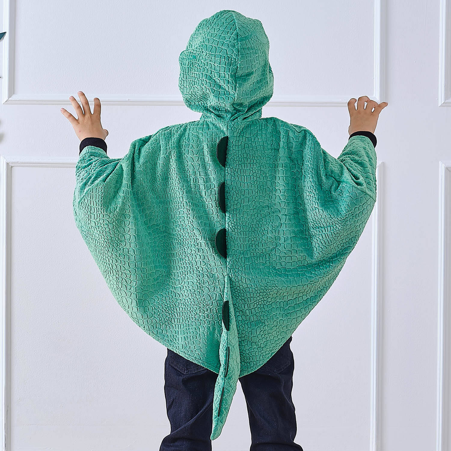 Dinosaur Cape