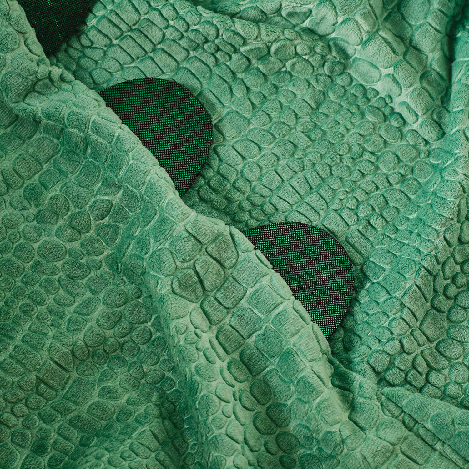 Dinosaur Cape