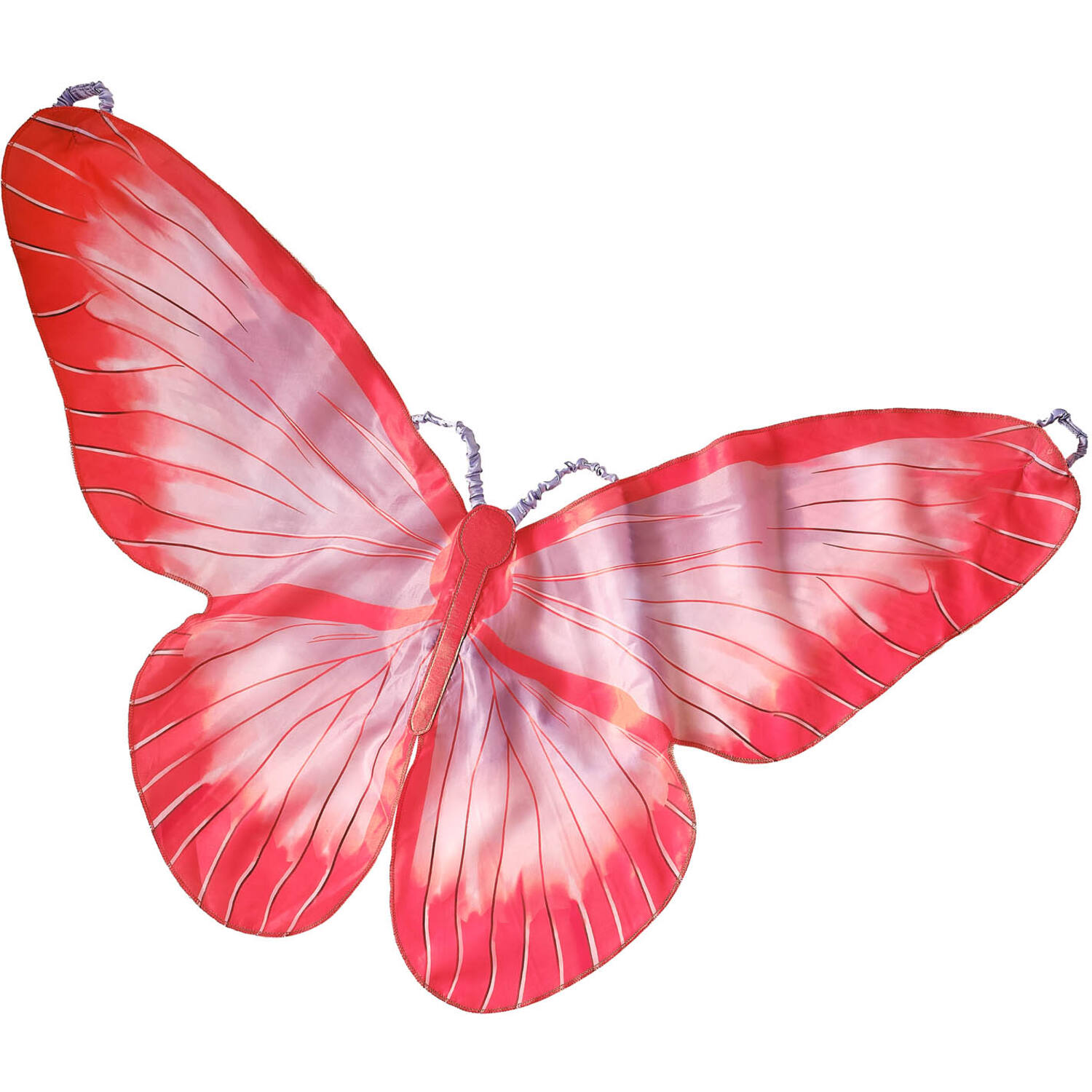 Butterfly Wings