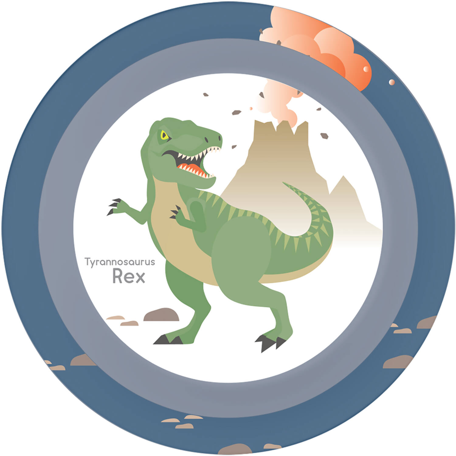 4 Plates Happy Dinosaur Plastic Reusable 21,2 cm