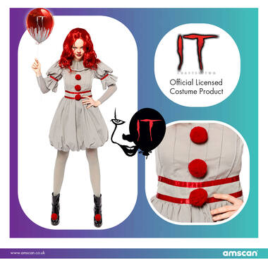 Adult Costume IT Ladies Size M/L