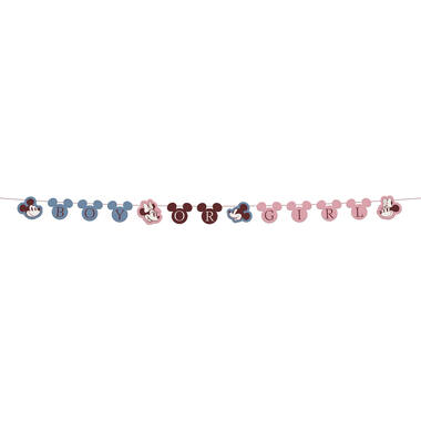 Letter Banner - Mickey&Minnie - Gender Reveal - 3 m