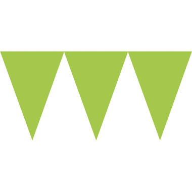 Pennant Banner Kiwi Green Paper 457 x 17.7 cm