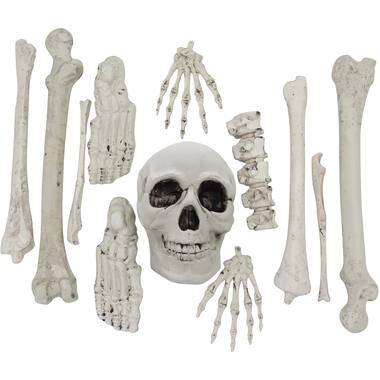Bones Decoration Kit
