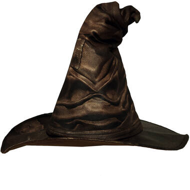 Costume Accessory Sorting Hat One Size