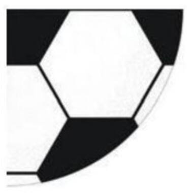 12 Soccer Napkins All Over Germany Paper Round 32 cm x 32 cm
