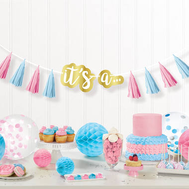 Tassel Garland The Big Reveal Paper Length 240 cm