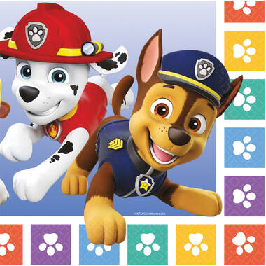 16 Napkins Paw Patrol 2022 33 x 33 cm