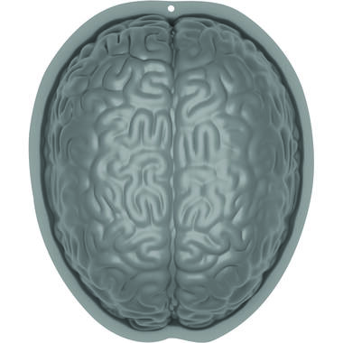 Pudding Mould Brain-Shaped Plastic
