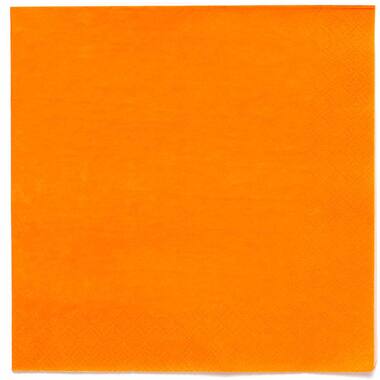 20 Napkins Pumpkin 33 x 33 cm