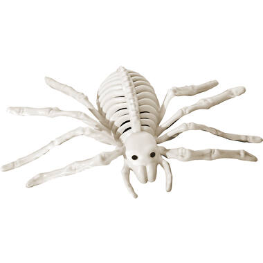 Skeleton Spider Plastic