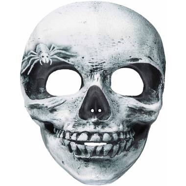 Mask Skeletor Skull