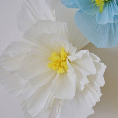 Backdrop - Tissue Paper Flowers