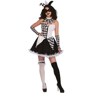 Adult Costume Jester Lady Size M/L