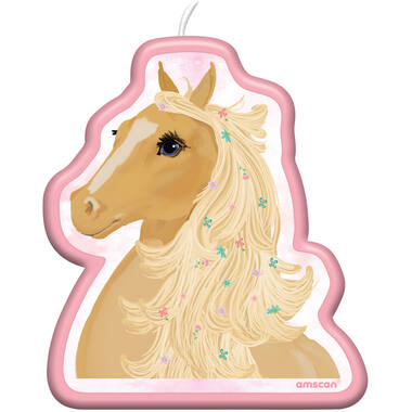 Character Candle Beautiful    Horses