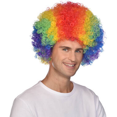 Costume Accessory Afro Wig Rainbow One Size