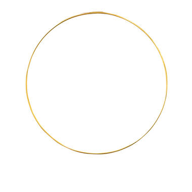Metallic Hoop Wedding 25 cm